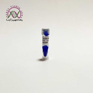 1kb DNA Ladder