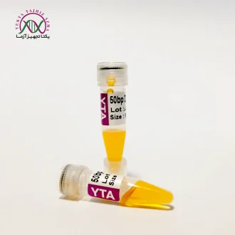 50bp DNA lader yektatajhiz