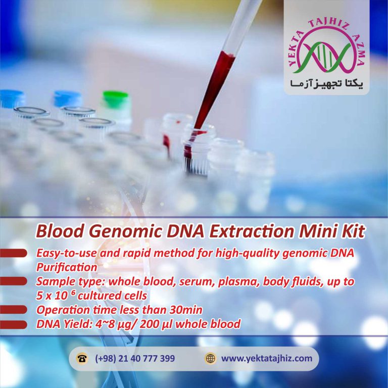 Blood-DNA-mini-kit-yektatajhiz