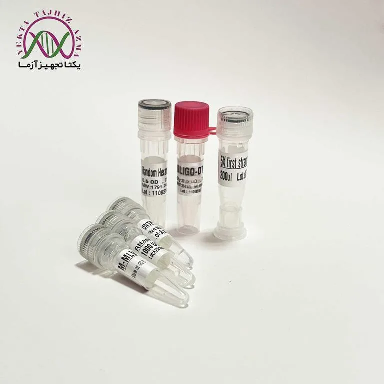 CDNA Synthesis kit yektatajhiz01