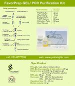 کیت استخراج از ژل و تخلیص محصول PCR