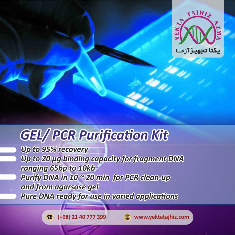 Gel-PCR-purification-kit
