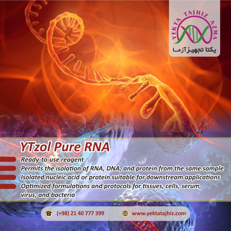 YTzol pure RNA