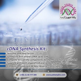 cDNA synthesis kit yektatajhiz