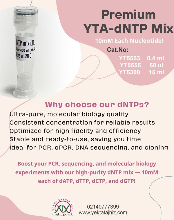 آنزیم dNTP mix