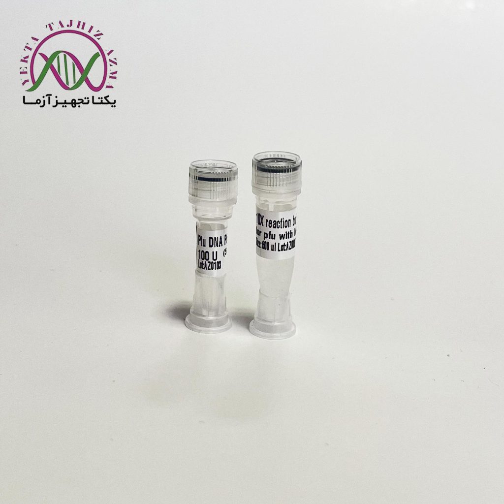 fast-pfu-DNA-polymerase-yektatajhiz.jpg