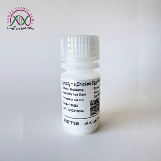 آنزیم لیزوزیم