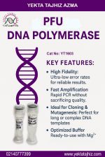 آنزیم Pfu DNA پلی مراز