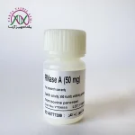 rnase A