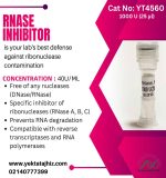 آنزیم RNase inhibitor
