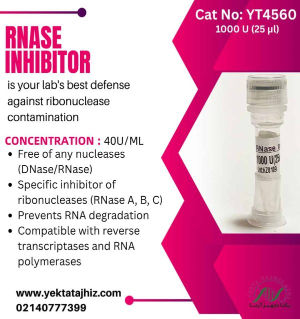 آنزیم RNase inhibitor