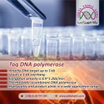 taq DNA polymerase yektatajhiz