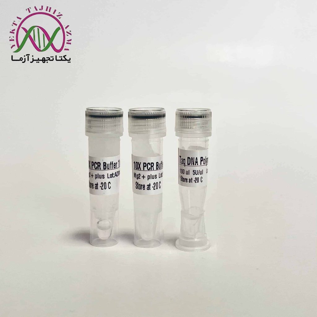 آنزیم Taq DNA پلی مراز