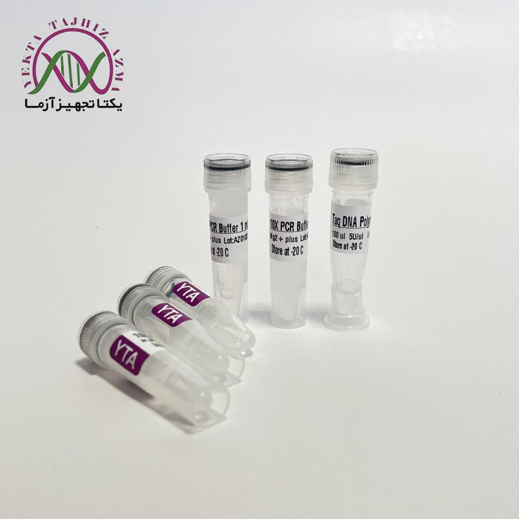 SYBER Green qpcr master mix yektatajhiz