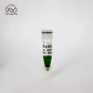 100bp DNA Ladder
