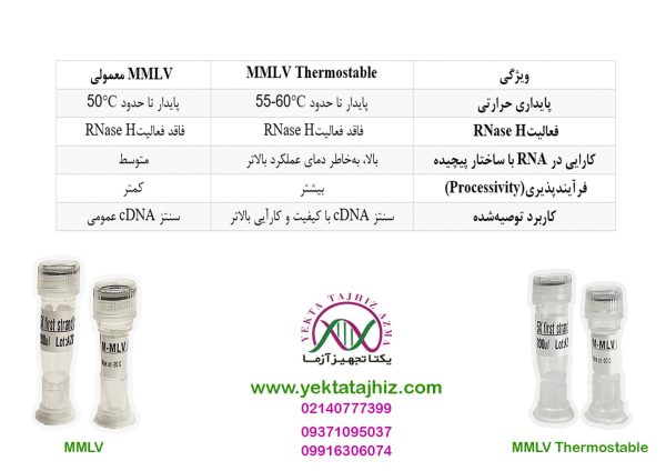 آنزیم MMLV