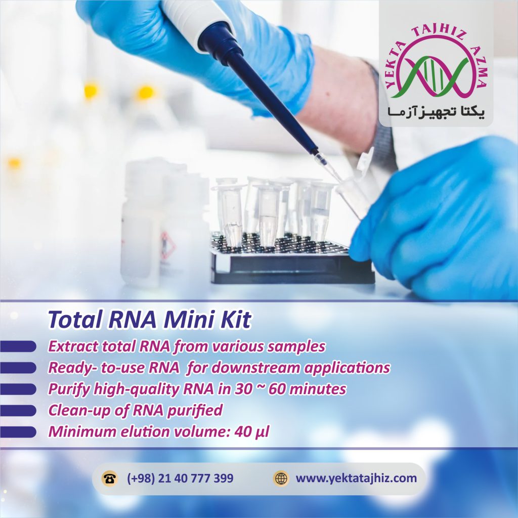 Total Rna Extraction Mini Kit Dna Rna Extraction Kits