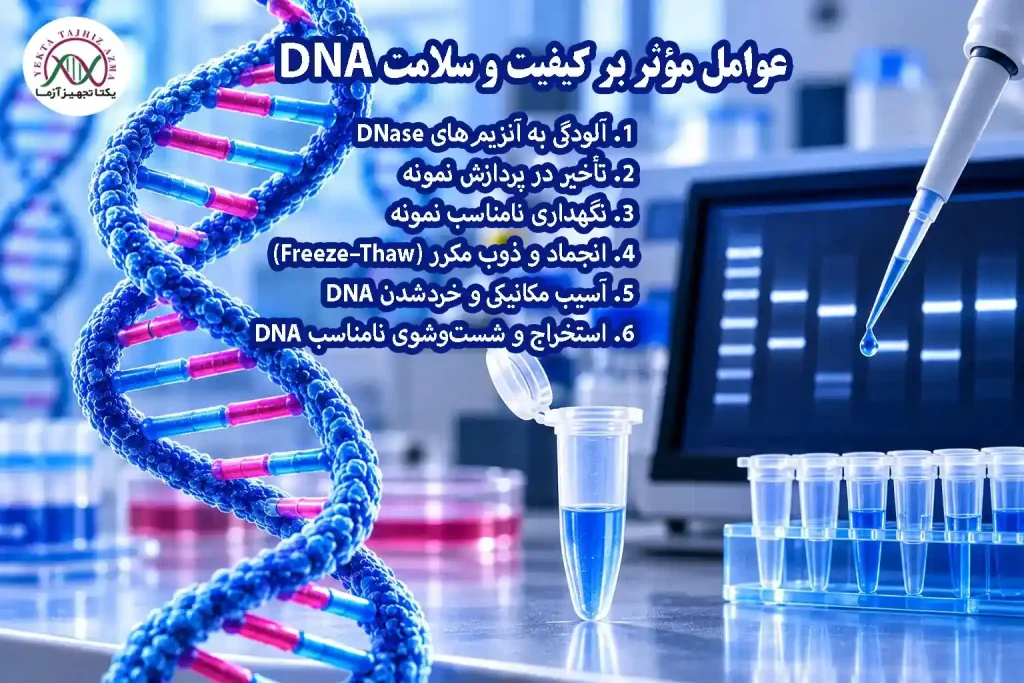 عوامل مؤثر بر کیفیت و یکپارچگی DNA