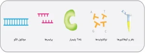 اجزای اصلی واکنش PCR