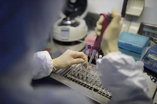 استخراج dna از نمونه های مختلف