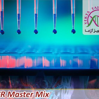 مسترمیکس PCR