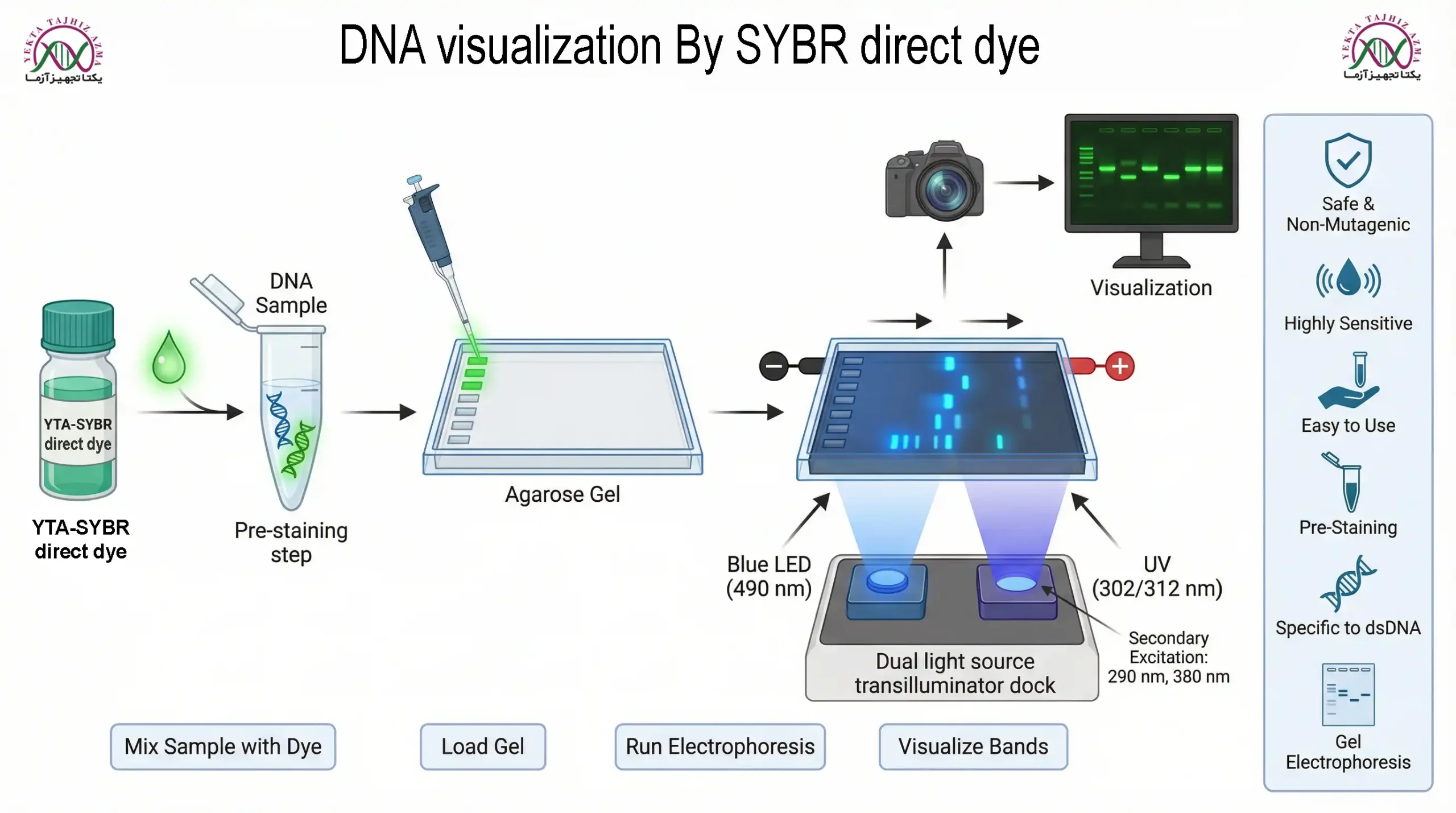 پروتکل سایبر دایرکت دای