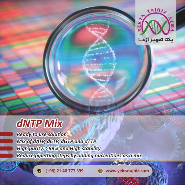dNTP-mix-yektatajhiz-