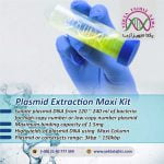 plasmid-DNA-extaction-maxi-kit-yektatajhiz