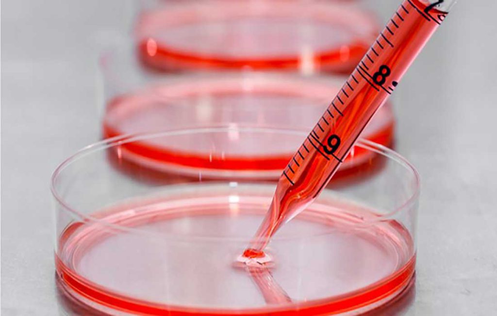 سلول های چسبنده