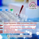 Blood-DNA-mini-kit