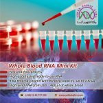 whole blood RNA