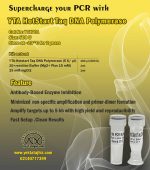 آنزیم Hot Start Taq DNA Polymerase