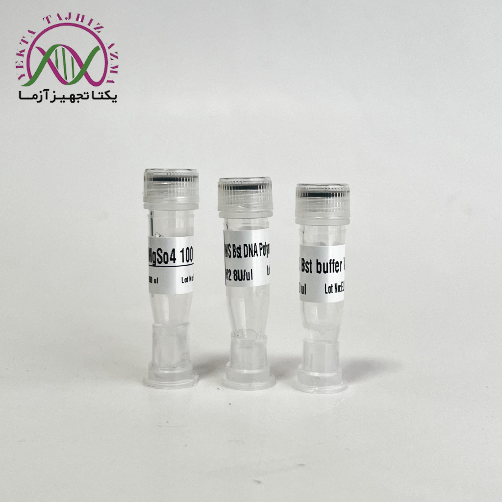 bst warmstart yektatajhiz