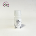 ایکس گال یکتاتجهیز