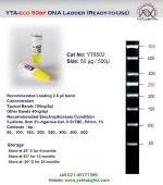 Eco 50bp DNA ladder - تصویر 3