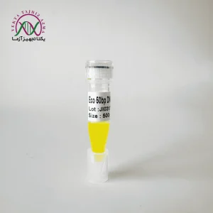 لدر eco-ladder-50