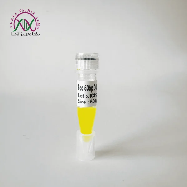 eco-ladder-50