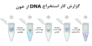 گزارش کار استخراج DNA از خون