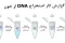 گزارش کار استخراج DNA از خون