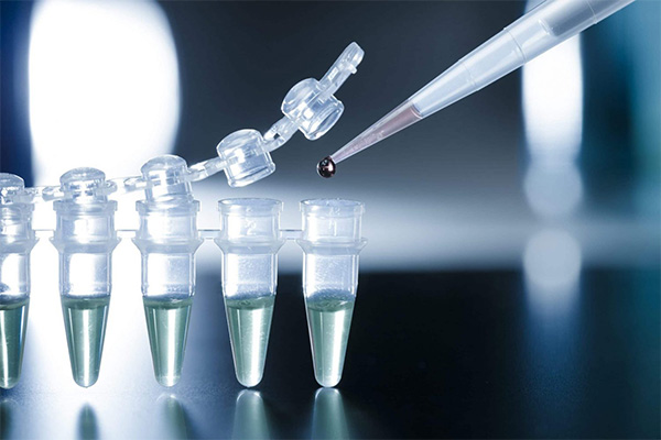نقش نمک در استخراج DNA