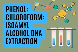 استخراج DNA به روش فنل کلروفرم