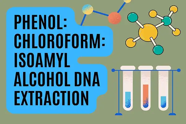 استخراج DNA به روش فنل کلروفرم