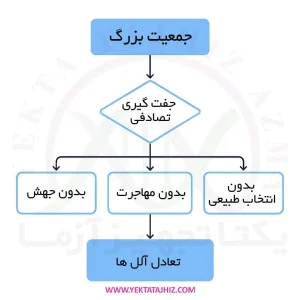 قانون هاردی–واینبرگ