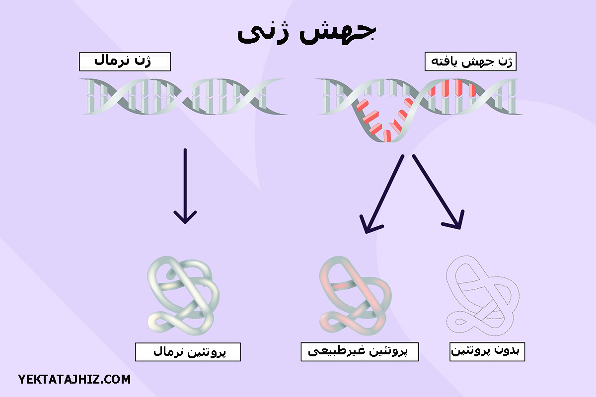 جهش ژنی