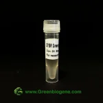 SYBR green qPCR mastermix(2x) Greenbiogene
