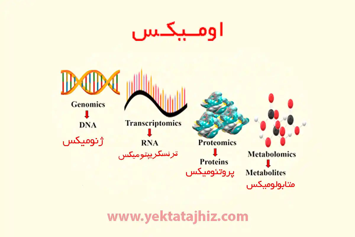 اومیکس ها و زیر شاخه های آن