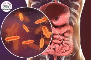 باکتری ایکولی چیست