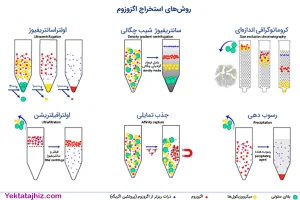 استخراج اگزوزوم