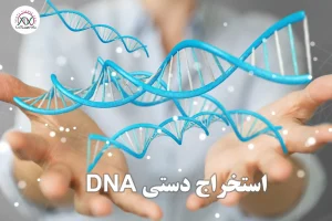 استخراج DNA به روش دستی