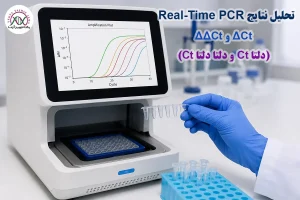 محاسبه دلتا ΔCt و دلتادلتا ΔΔ Ct